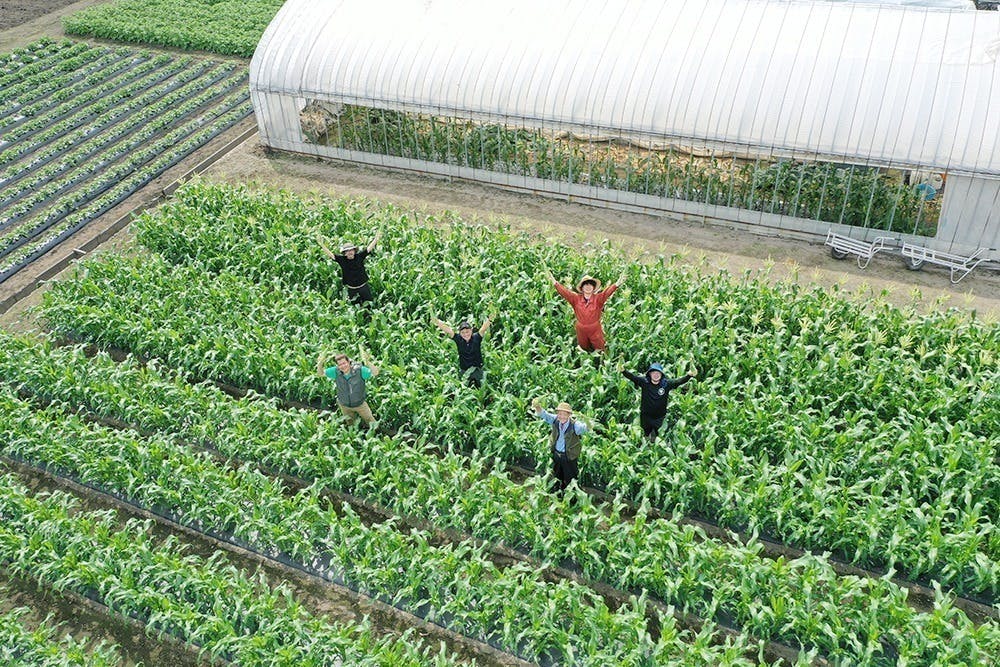 5番目のメイン画像