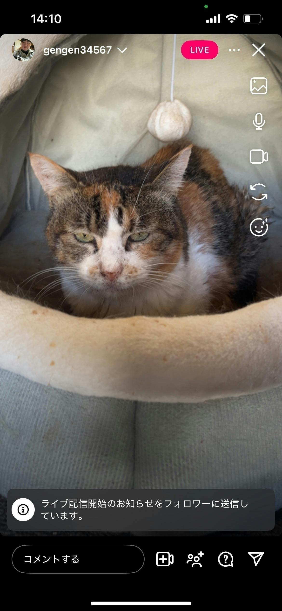 3番目のメイン画像