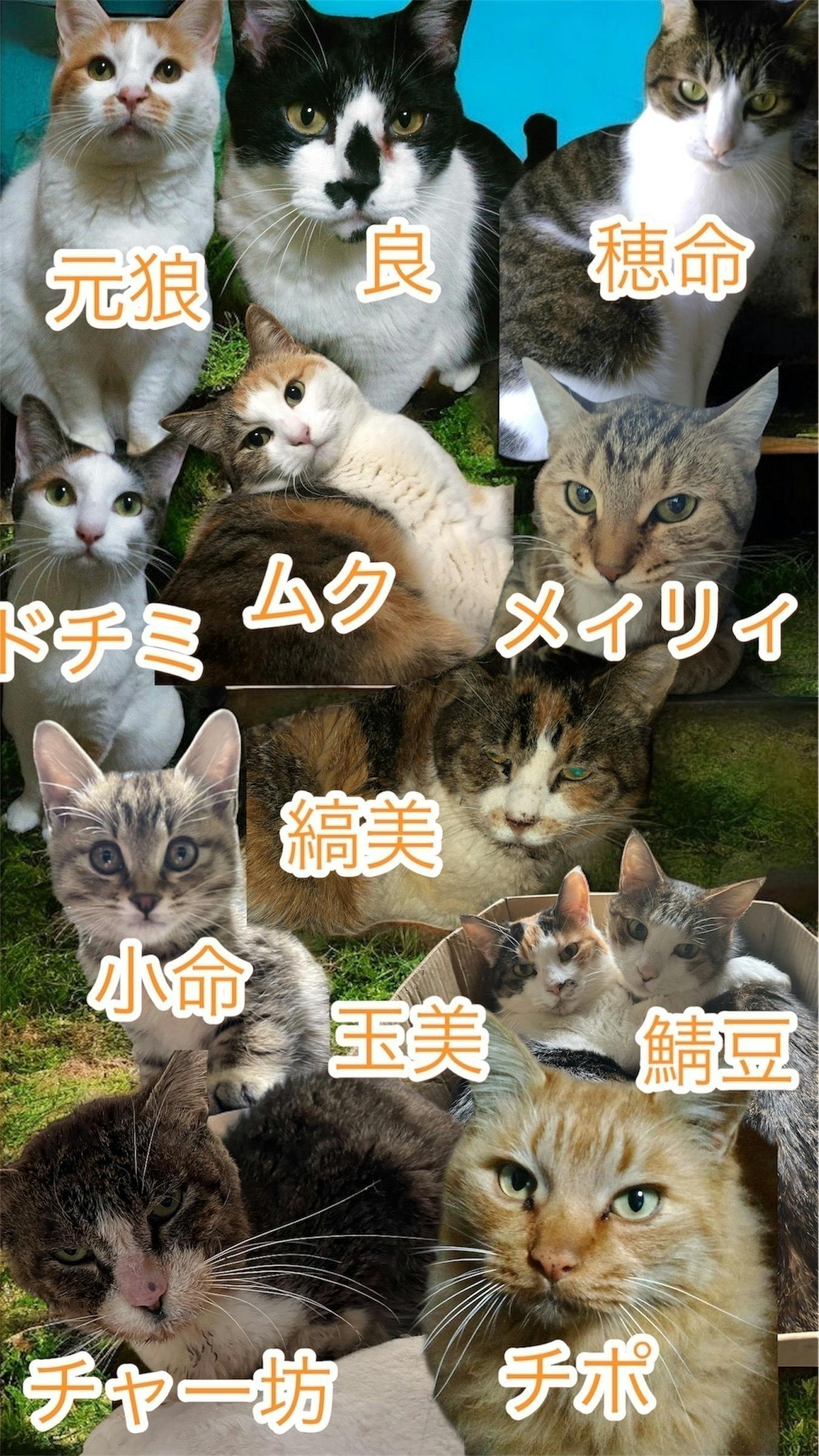 5番目のメイン画像