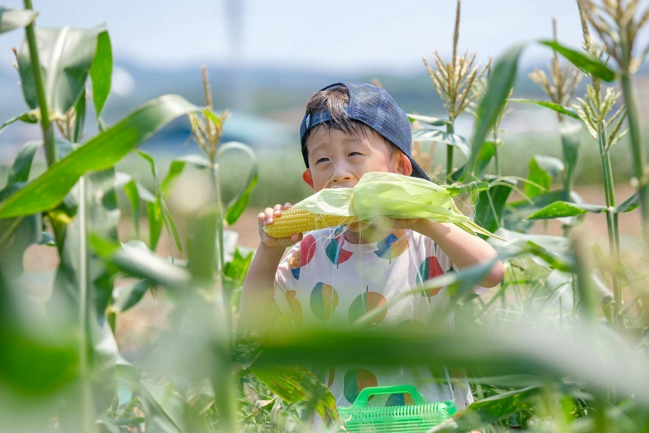 4番目のメイン画像