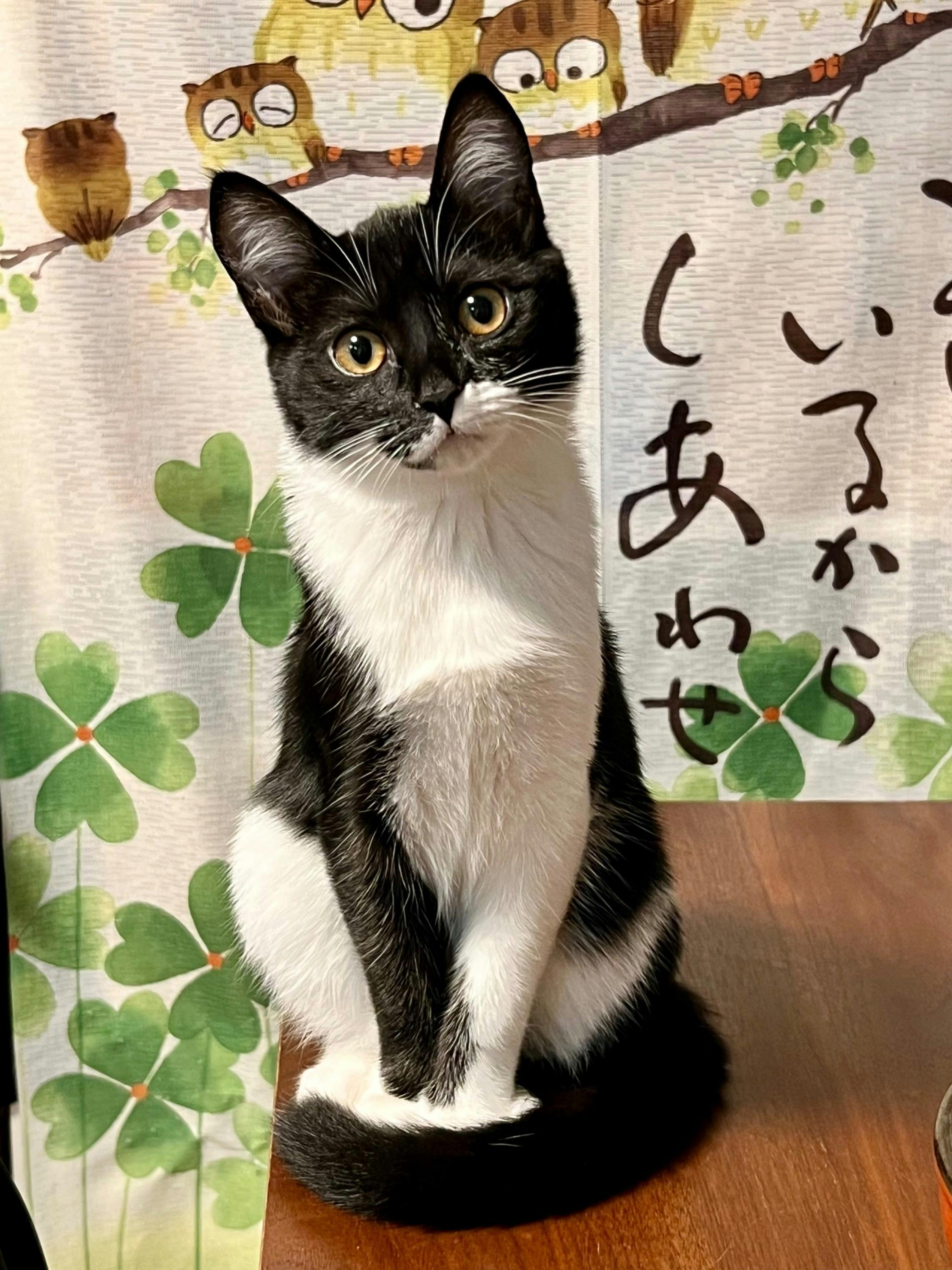 5番目のメイン画像