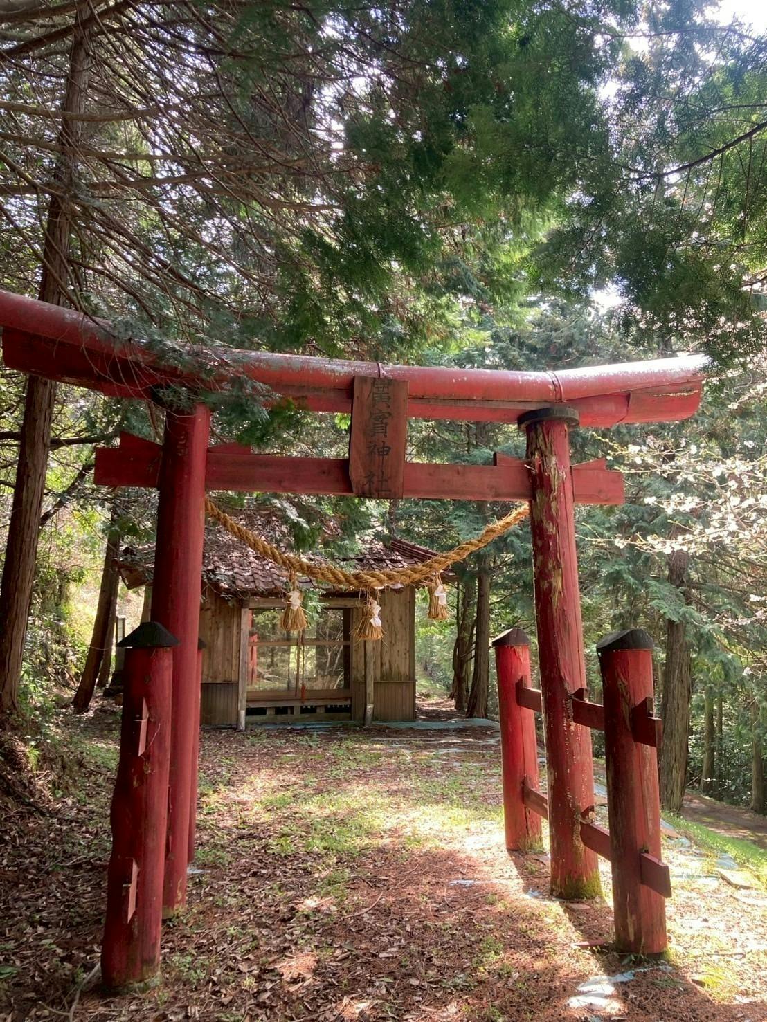 桜＊無言取引○様　確認用 桜＊無言取引○様確認用