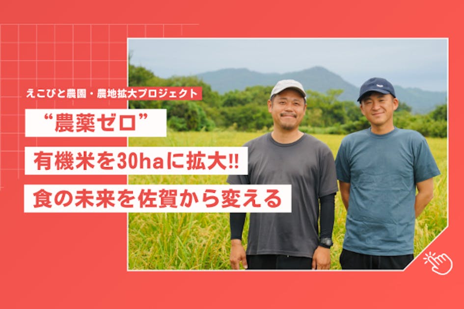 生産者・小売店様 限定】ぐんぐん玉 10kg（業務用）