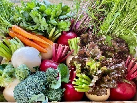 5番目のメイン画像