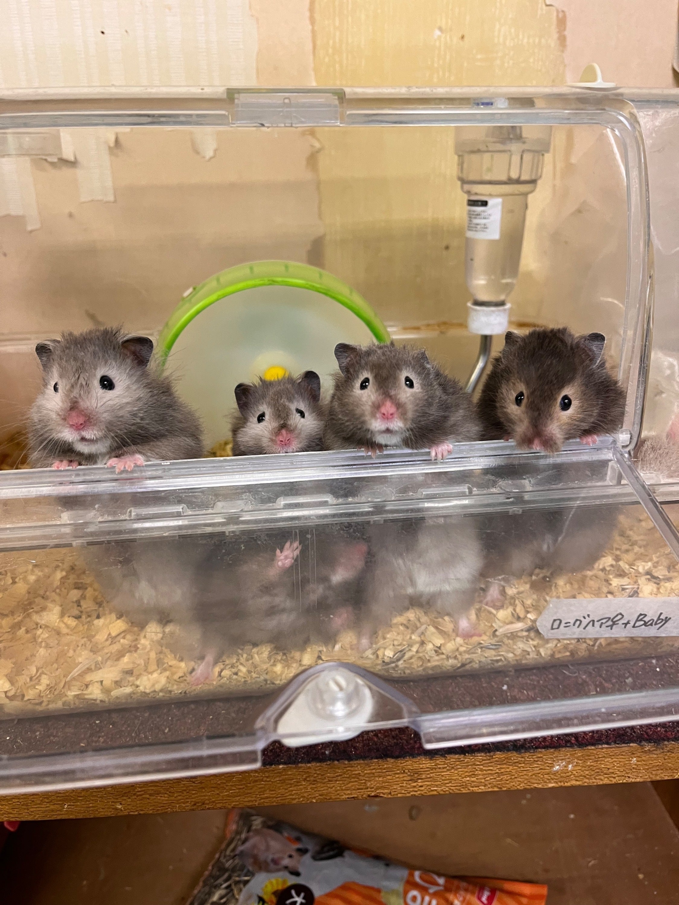 5番目のメイン画像