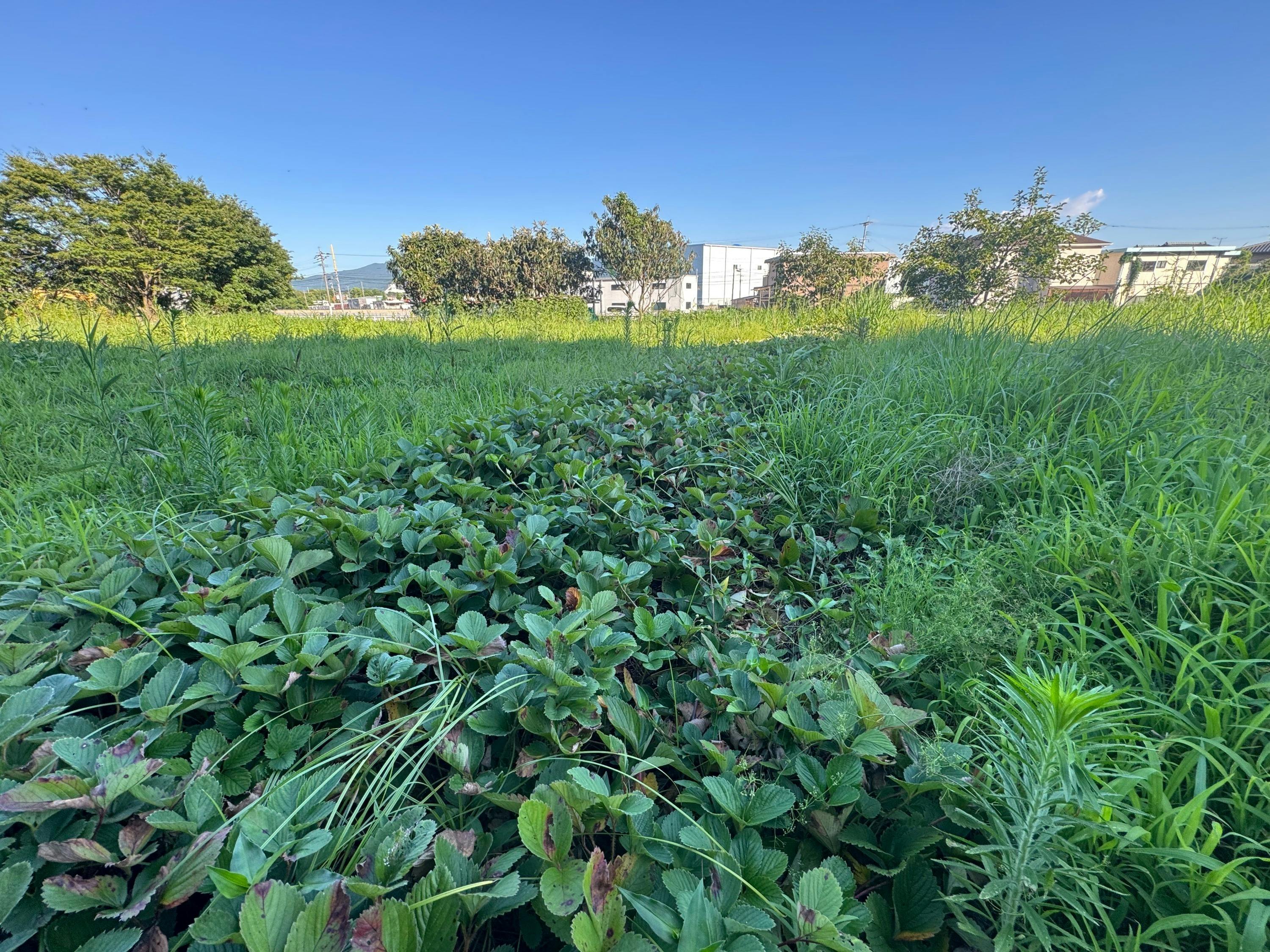 5番目のメイン画像