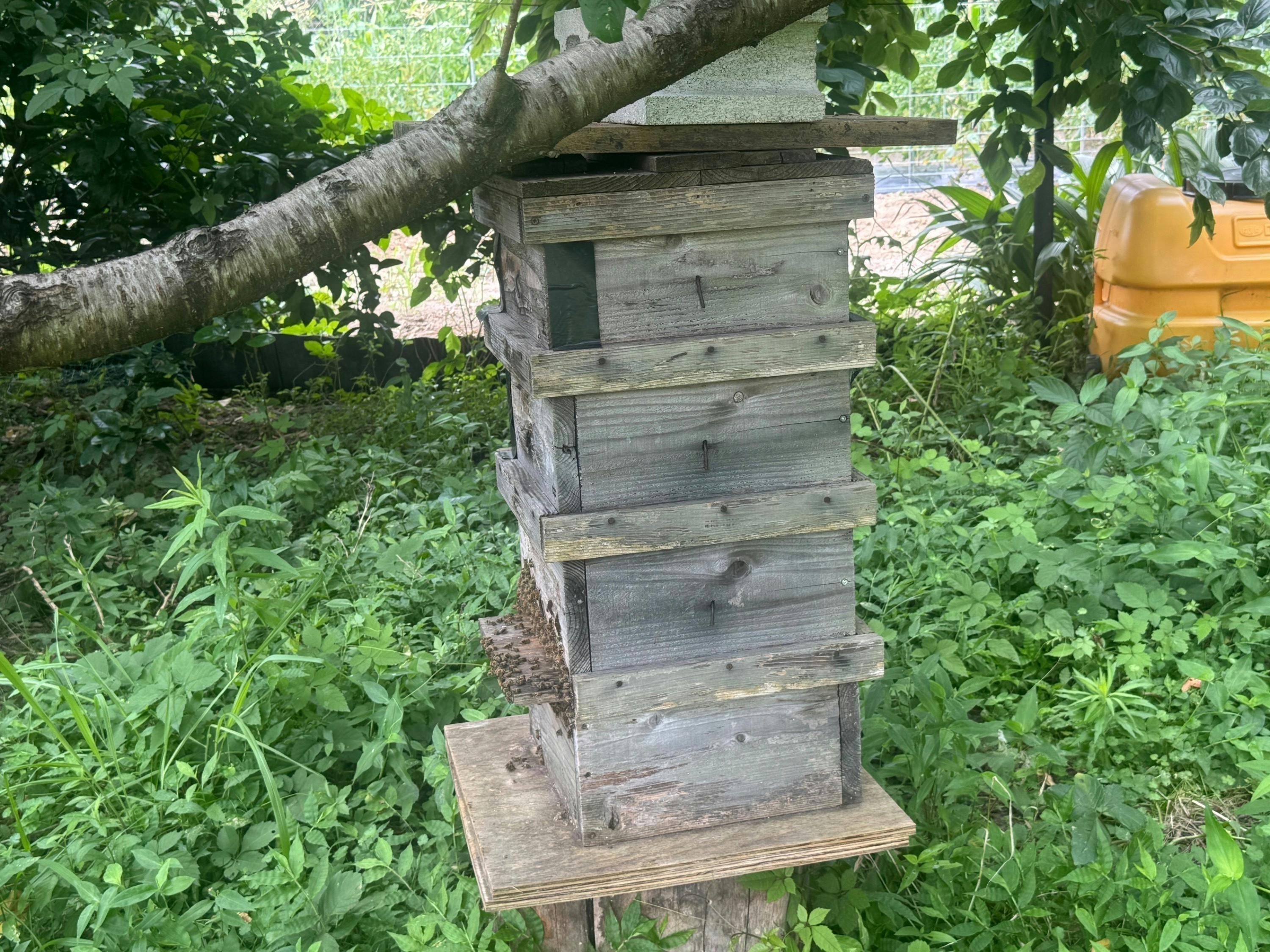 4番目のメイン画像