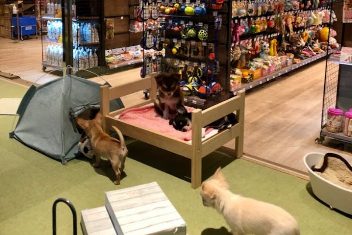 1番目のメイン画像