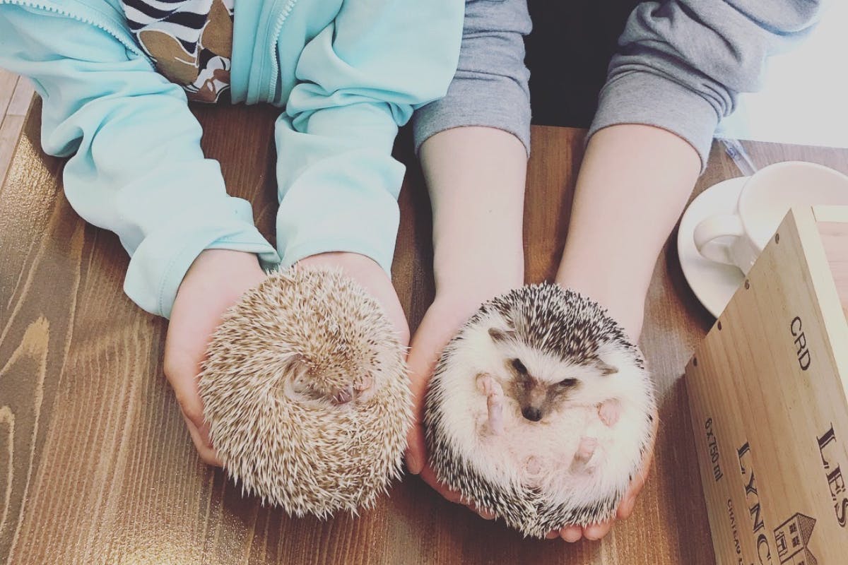 1番目のメイン画像