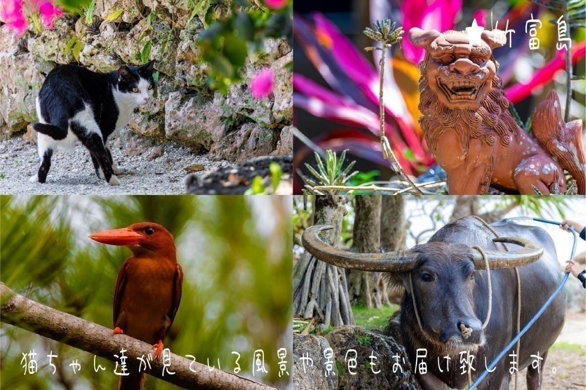 3番目のメイン画像