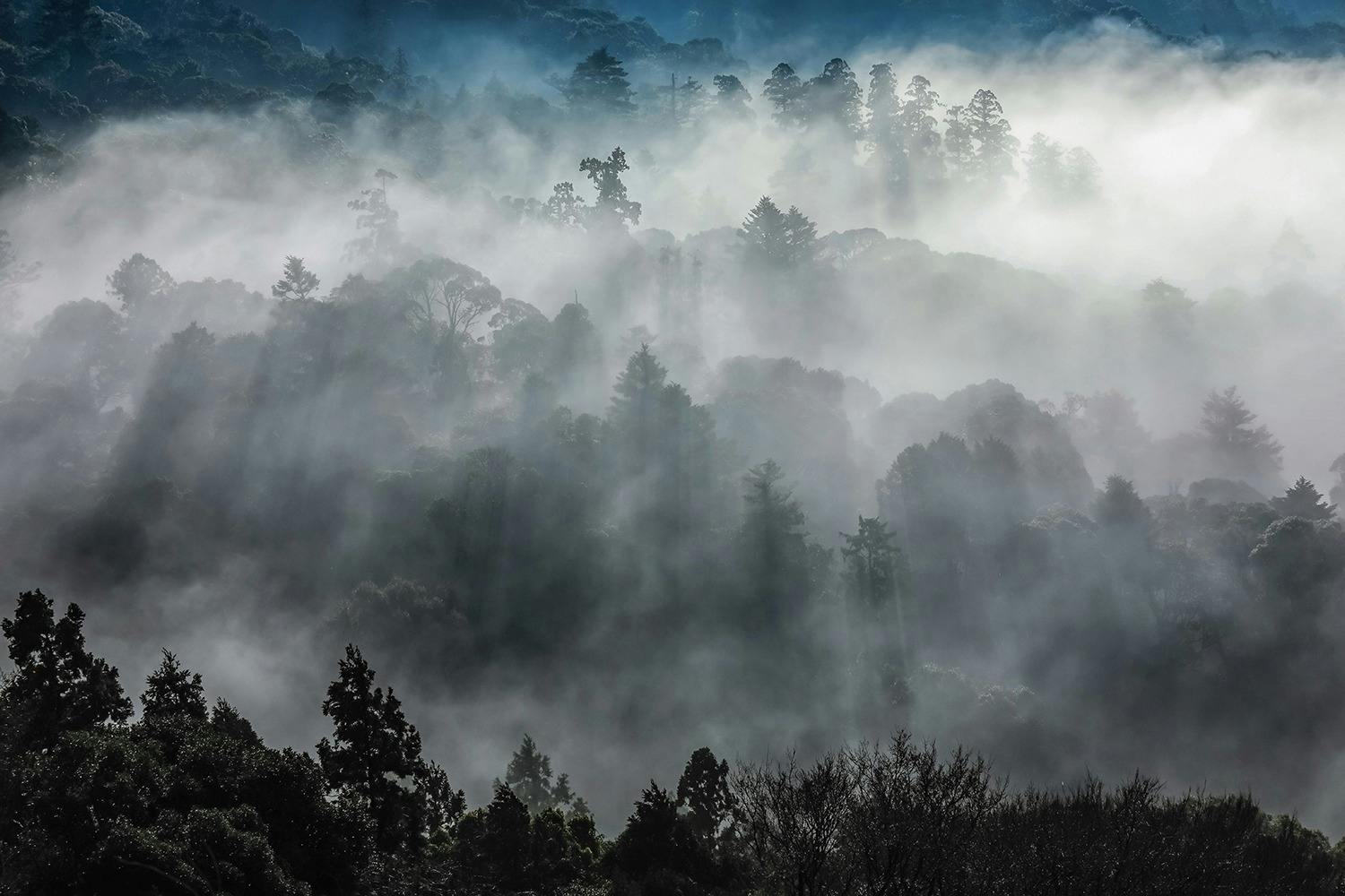 「ふるさと秦野・伊勢原」　生活感あふれる写真でつづる決定版写真集! 保存版 世界遺産・春日山原始林いのちの森を未来へ！】佐藤和斗写真集