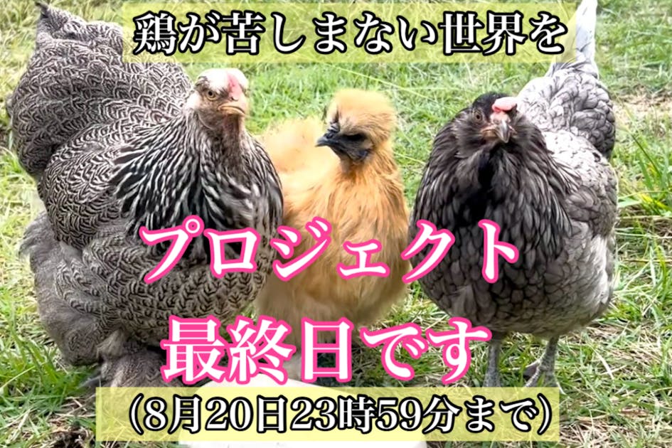ニワトリとまわる命のふれあい全国キャラバン 100校チャレンジ