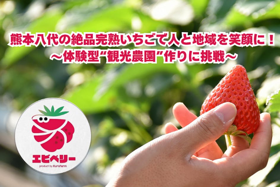 いちごページ　リクエスト5点 熊本八代の絶品完熟いちごで人と地域を笑顔に - CAMPFIRE (キャンプ
