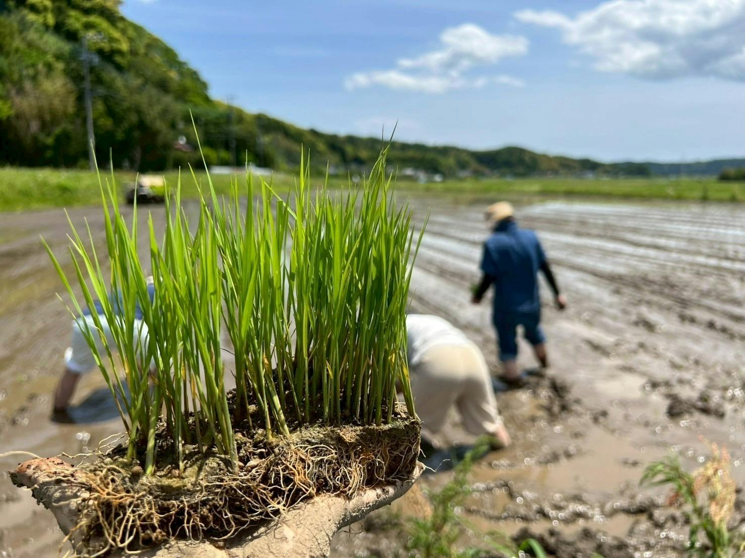 4番目のメイン画像