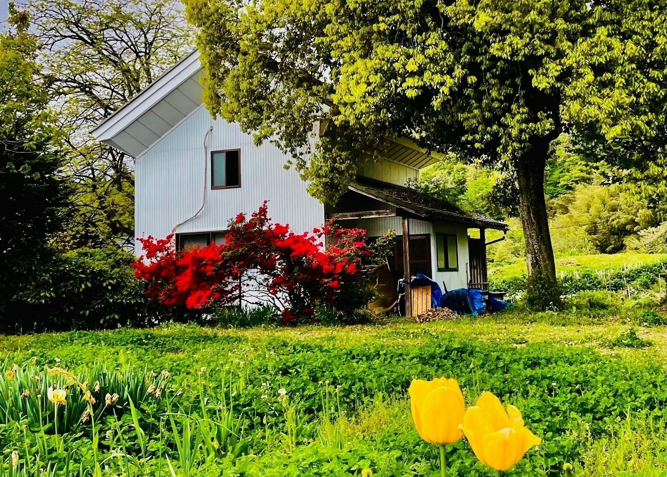 2番目のメイン画像