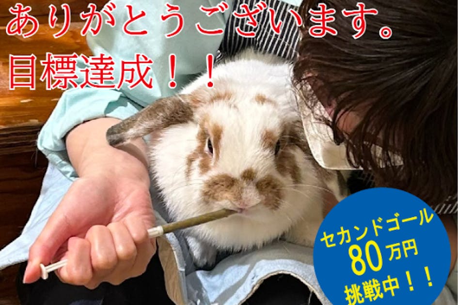 うさぎの命を「うっ滞」から守るために｜香川大学との共同開発第2弾