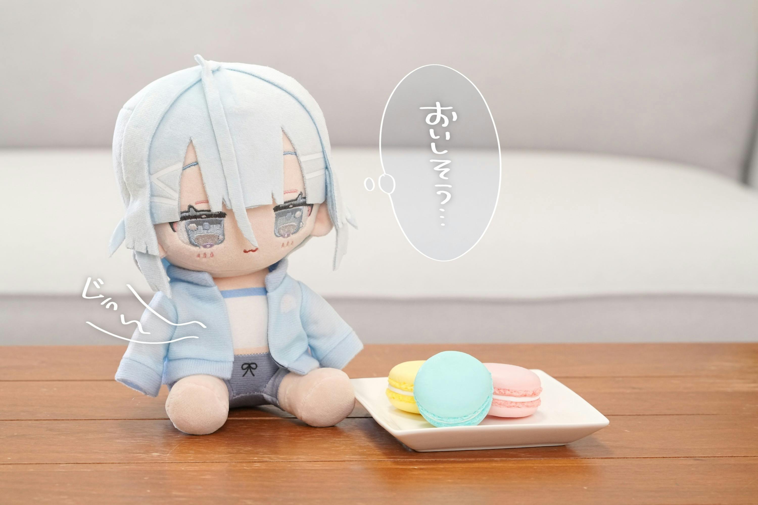 あなたのひざの上が特等席♡だせいちゃんぬいぐるみ化プロジェクト