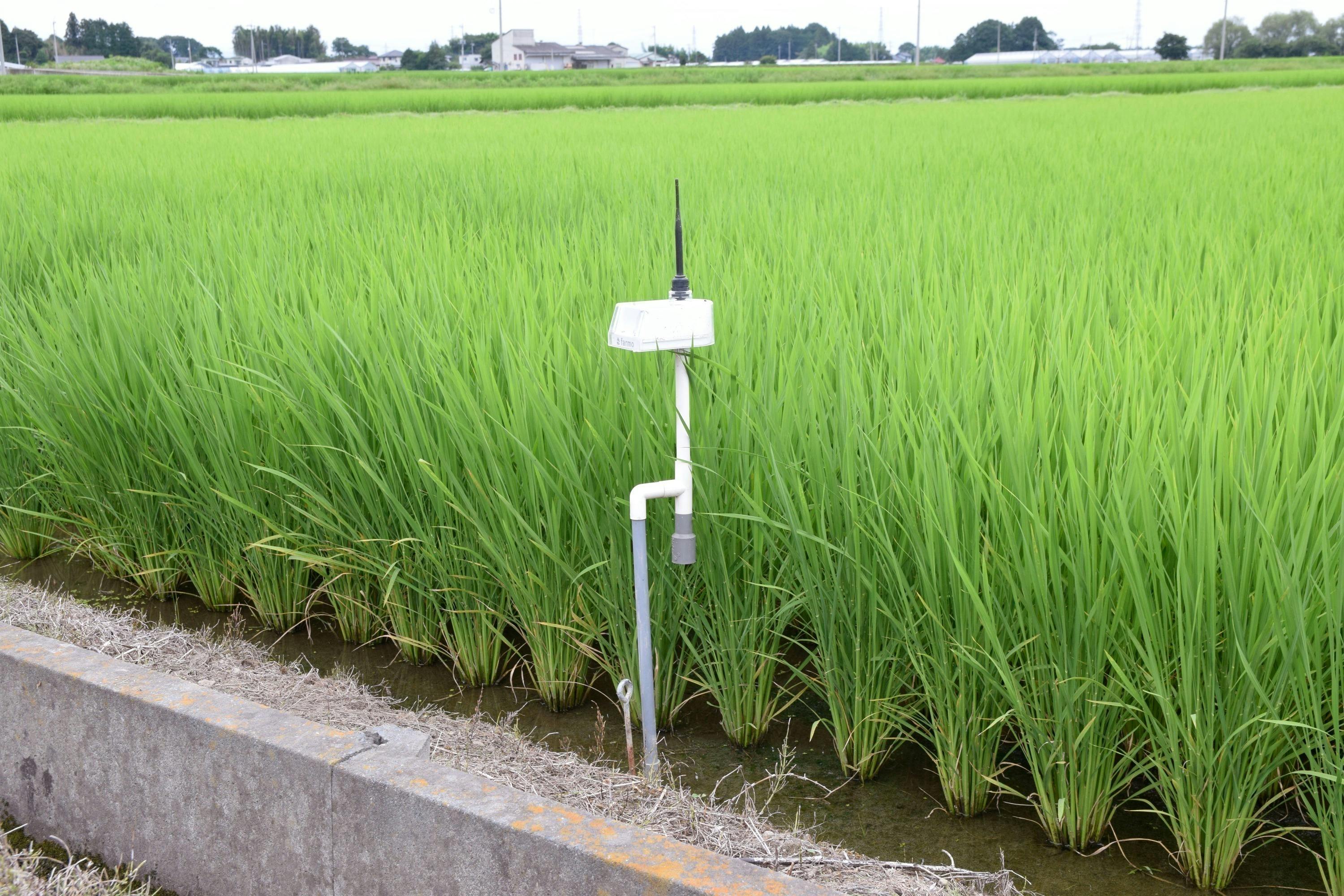 新米で農家を応援！IoT水位センサーを田んぼへ届ける「一俵