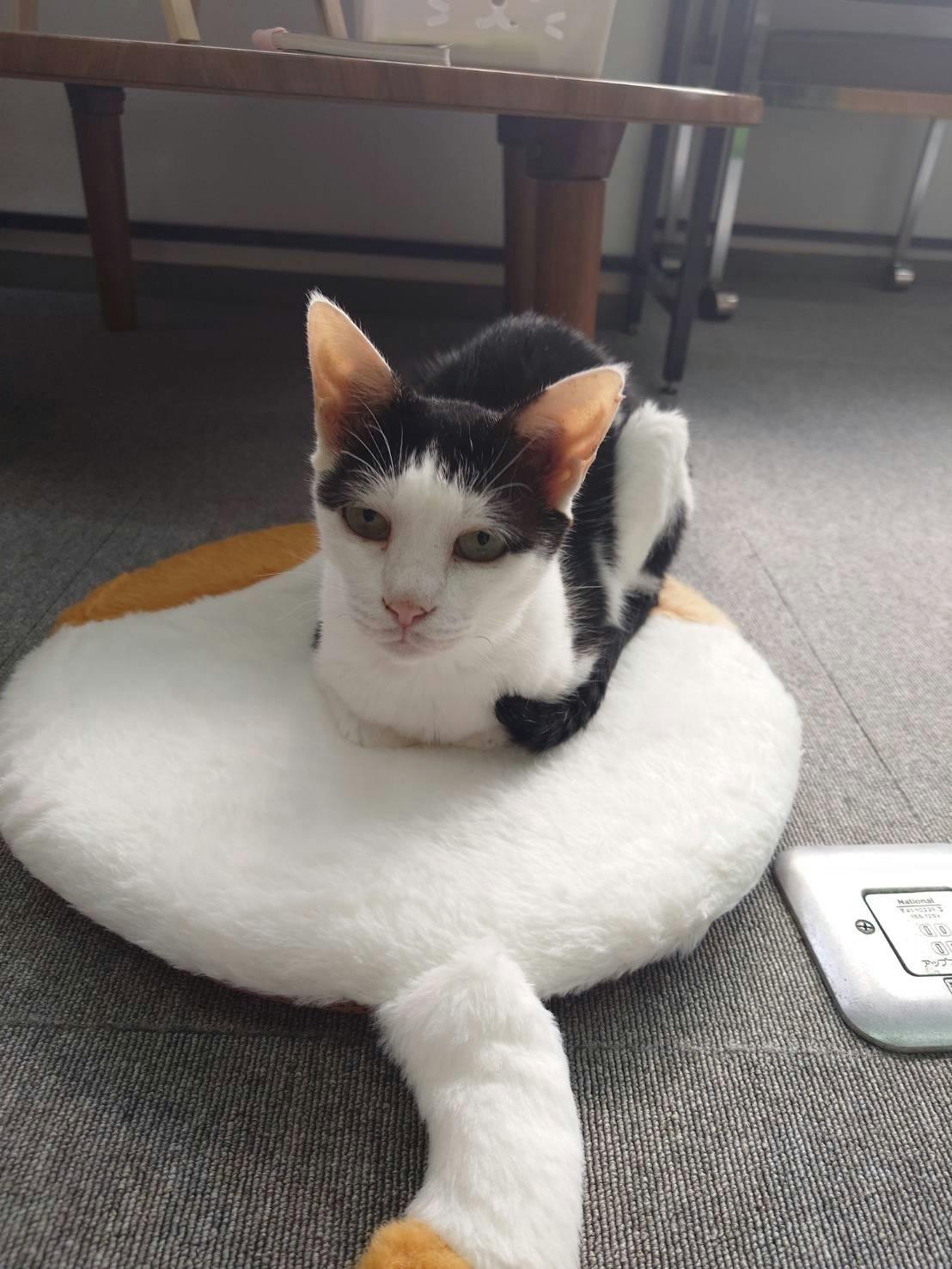 3番目のメイン画像