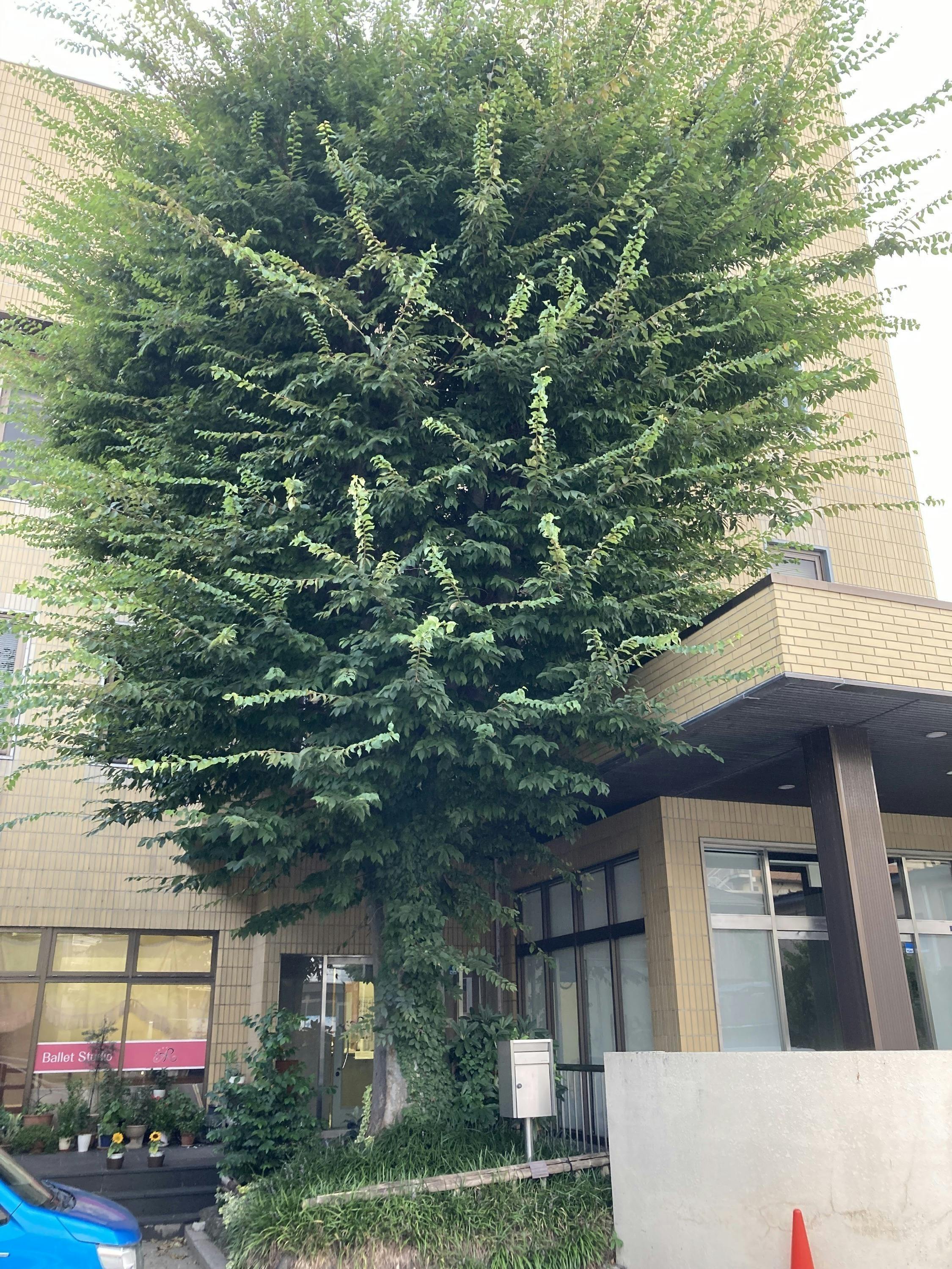 5番目のメイン画像