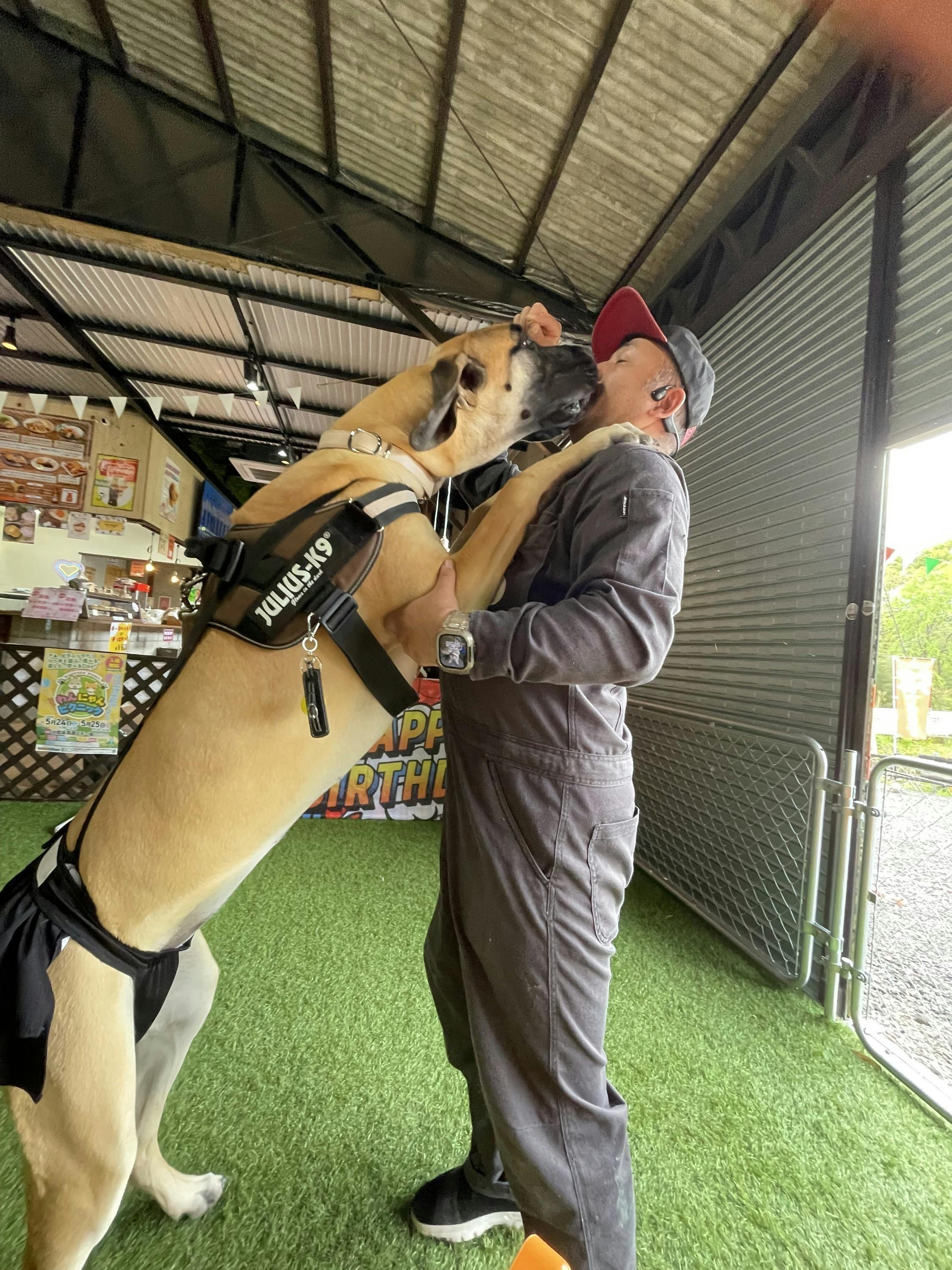 1周年記念！愛犬が思いきり走り回れる屋外ドッグランを阿智村に実現