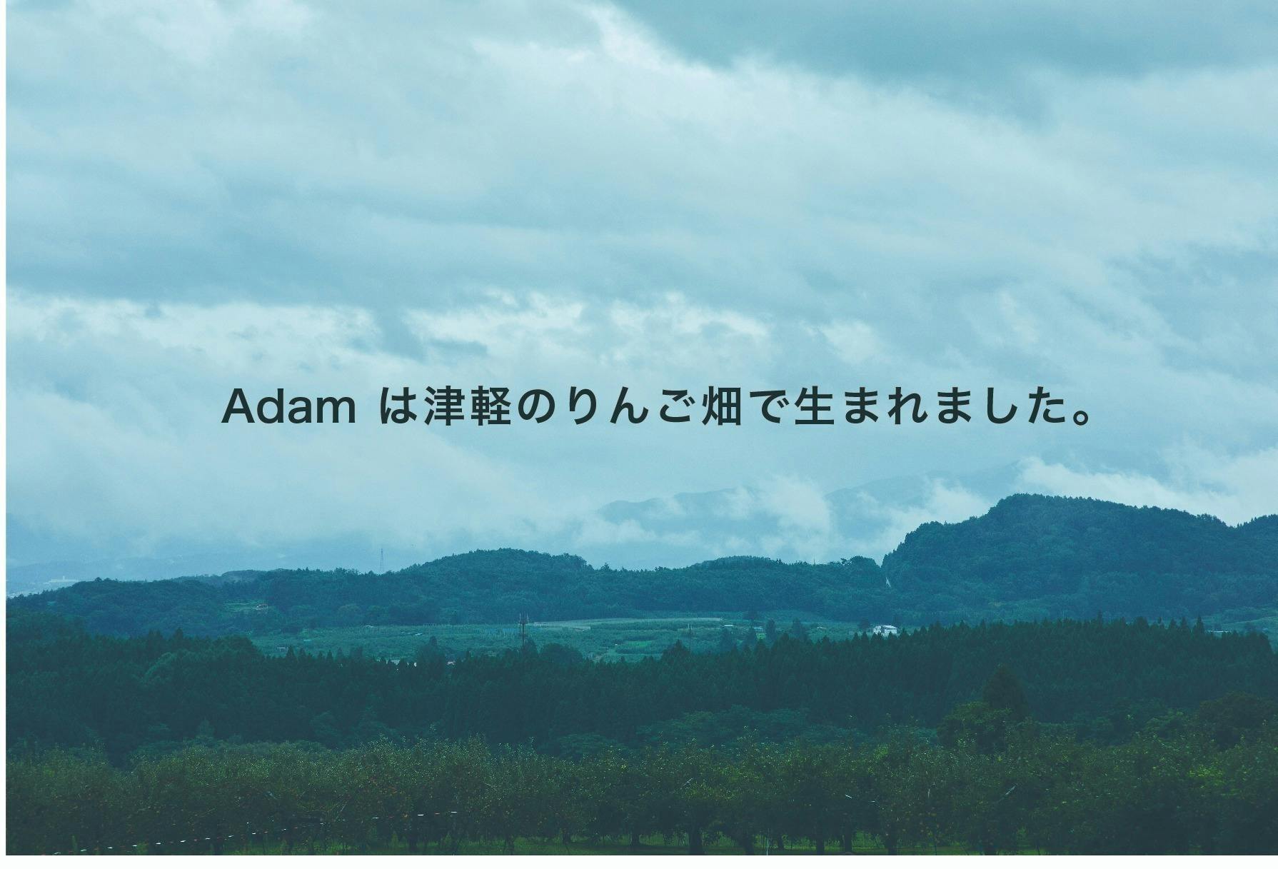 2番目のメイン画像