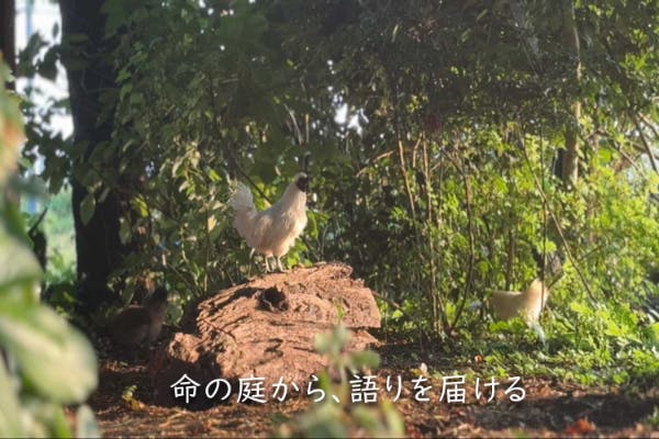 1番目のメイン画像