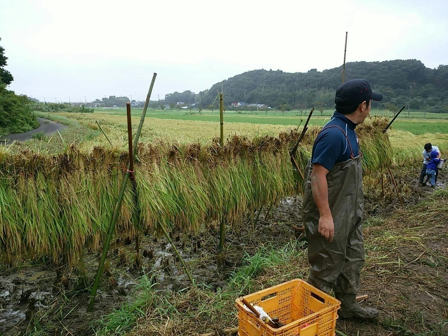 4番目のメイン画像