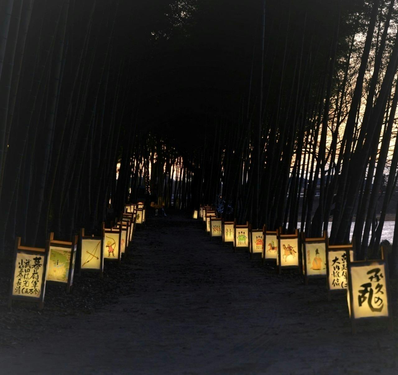 多治⾒の宝「永保寺」を光で彩る もみじライトアップ×地域魅⼒発信