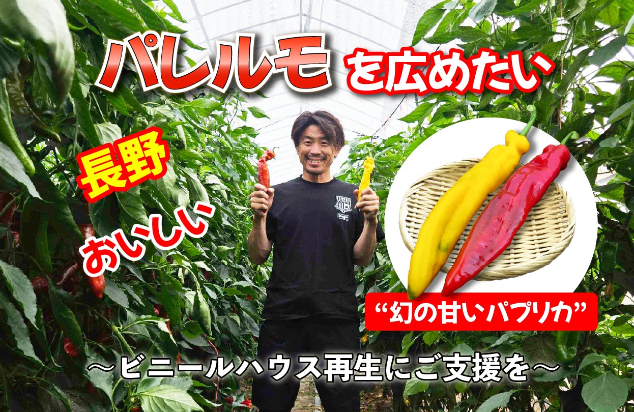 長野の自然が育んだ甘いパプリカ“パレルモ”を未来へ - CAMPFIRE