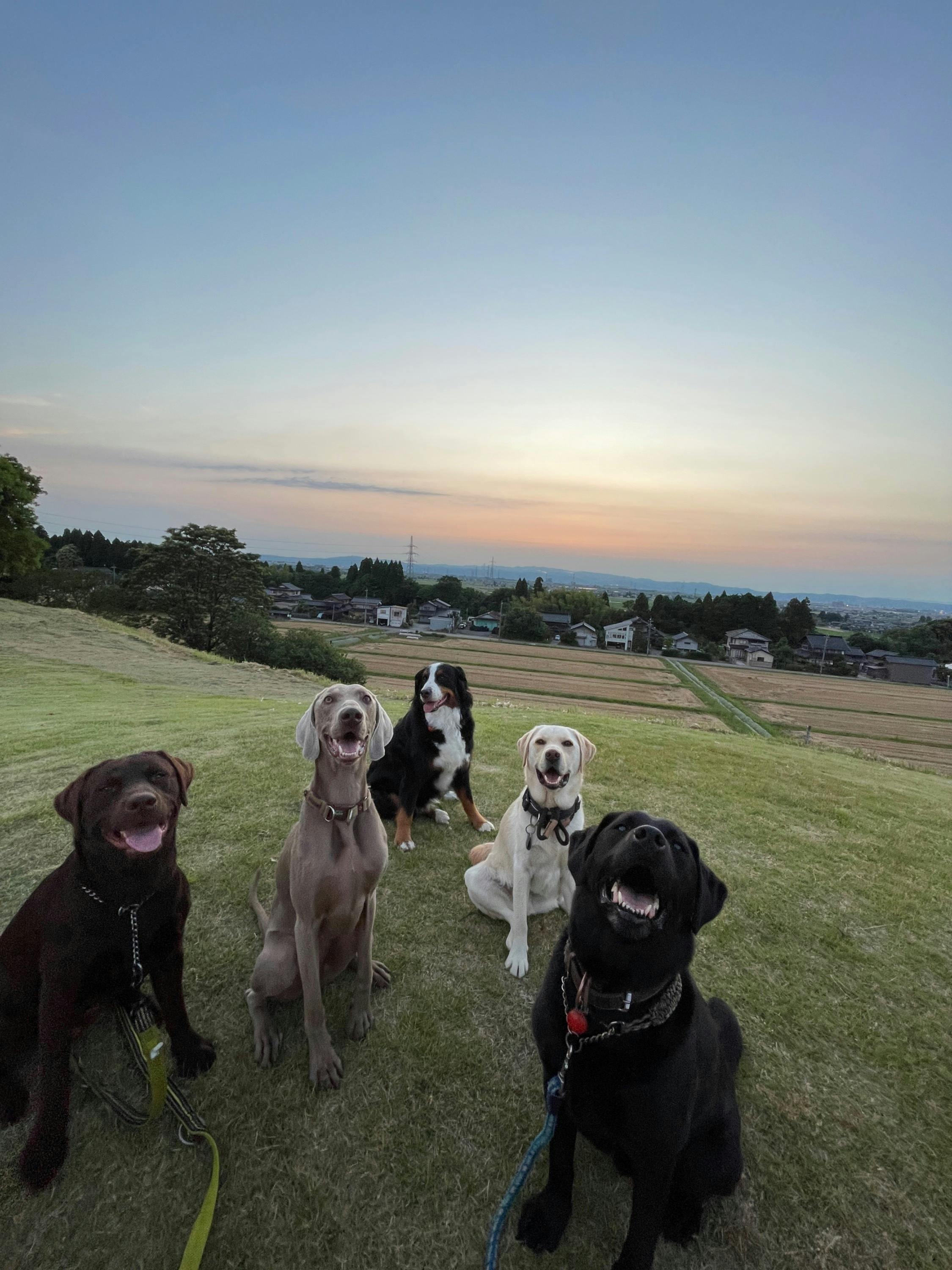 3番目のメイン画像