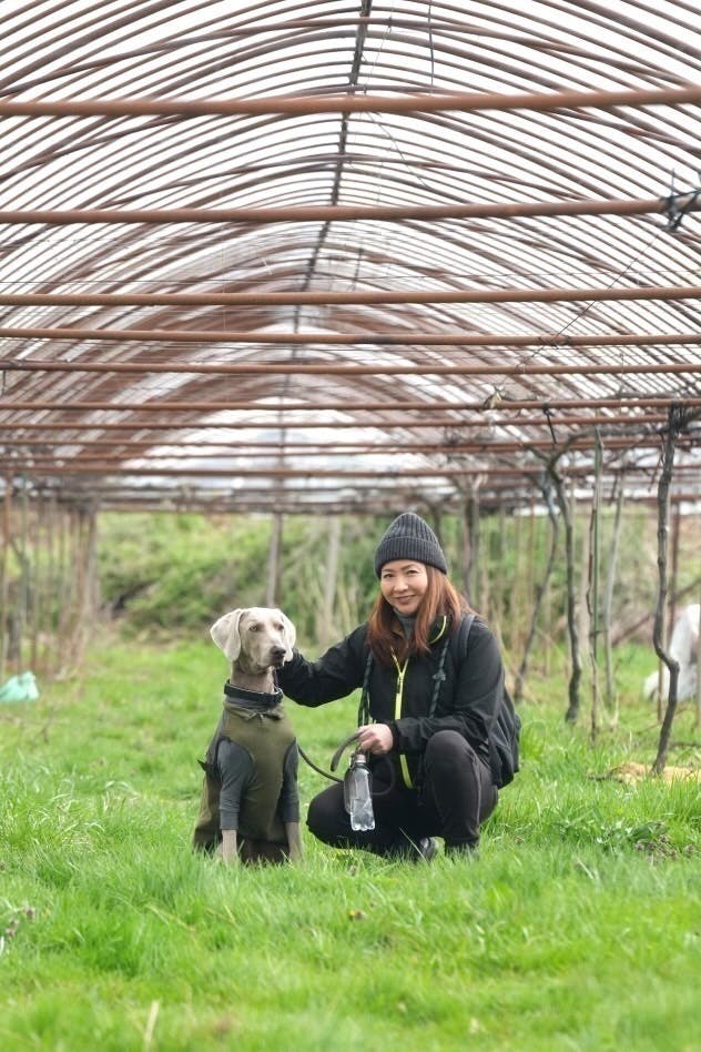 2番目のメイン画像