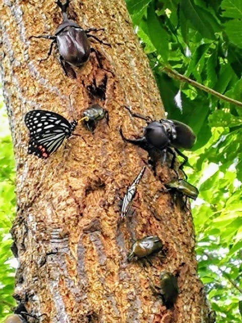 4番目のメイン画像