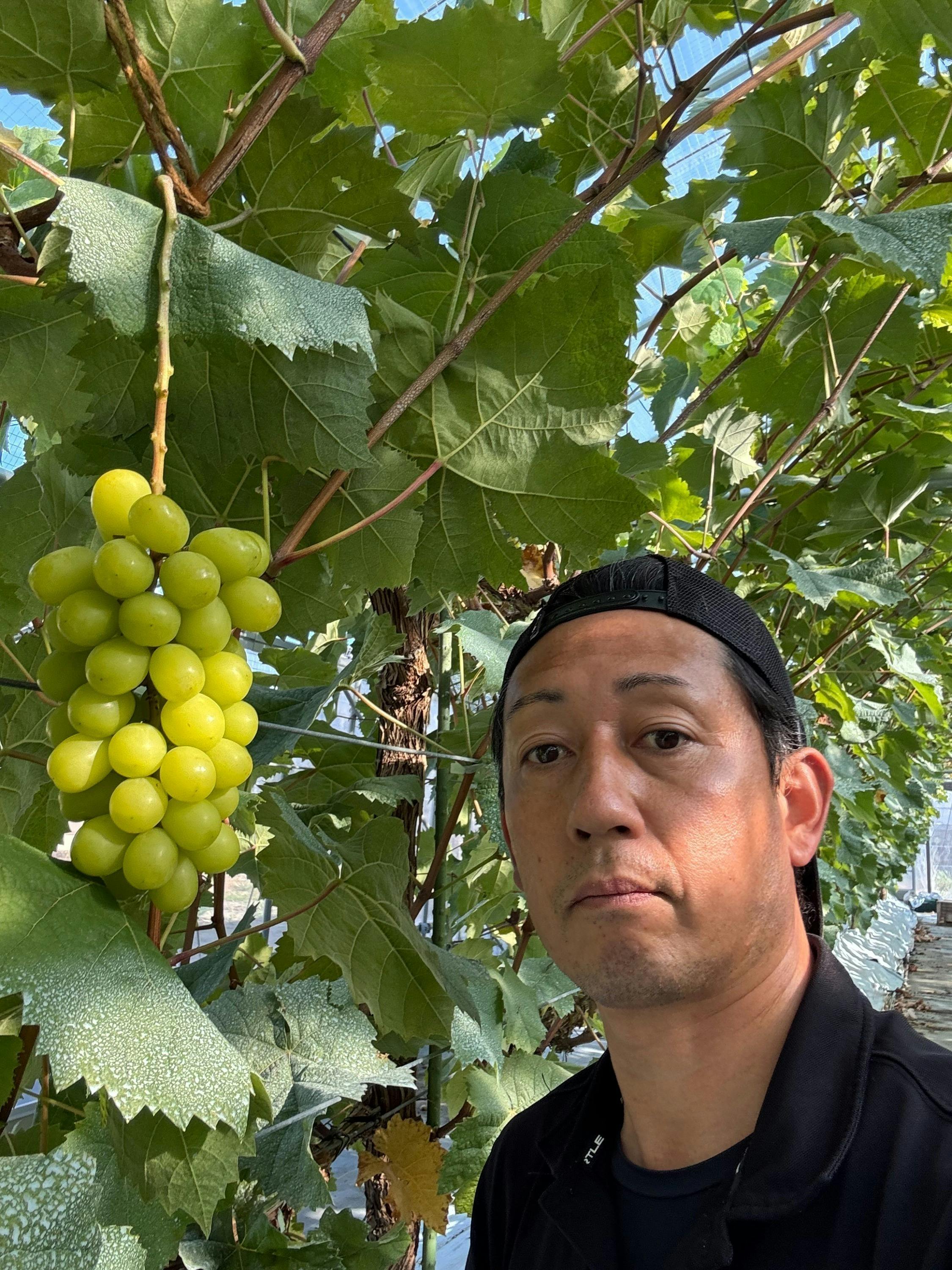 3番目のメイン画像