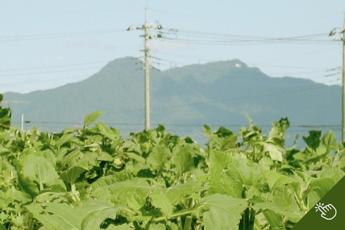 3番目のメイン画像