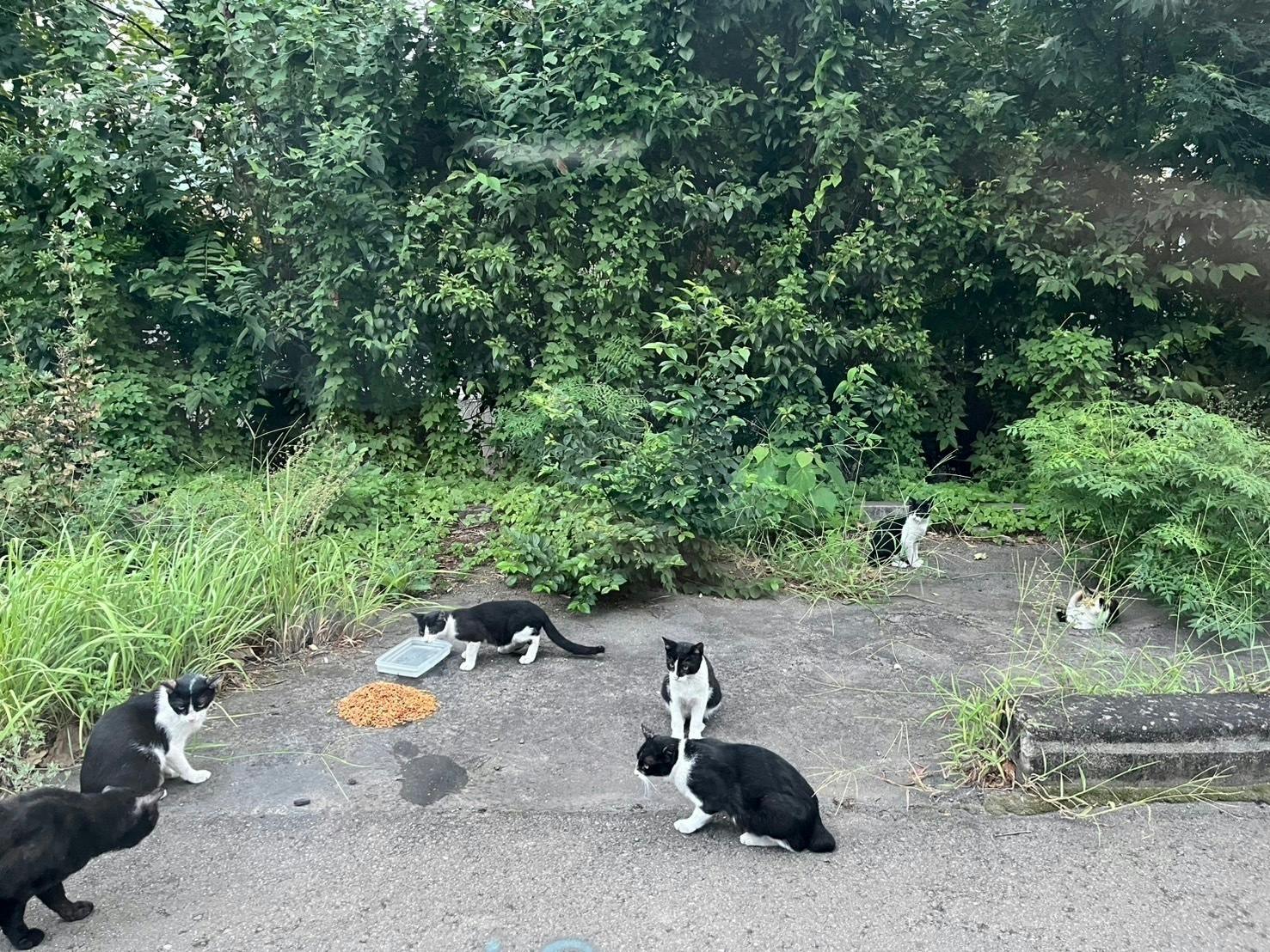 4番目のメイン画像