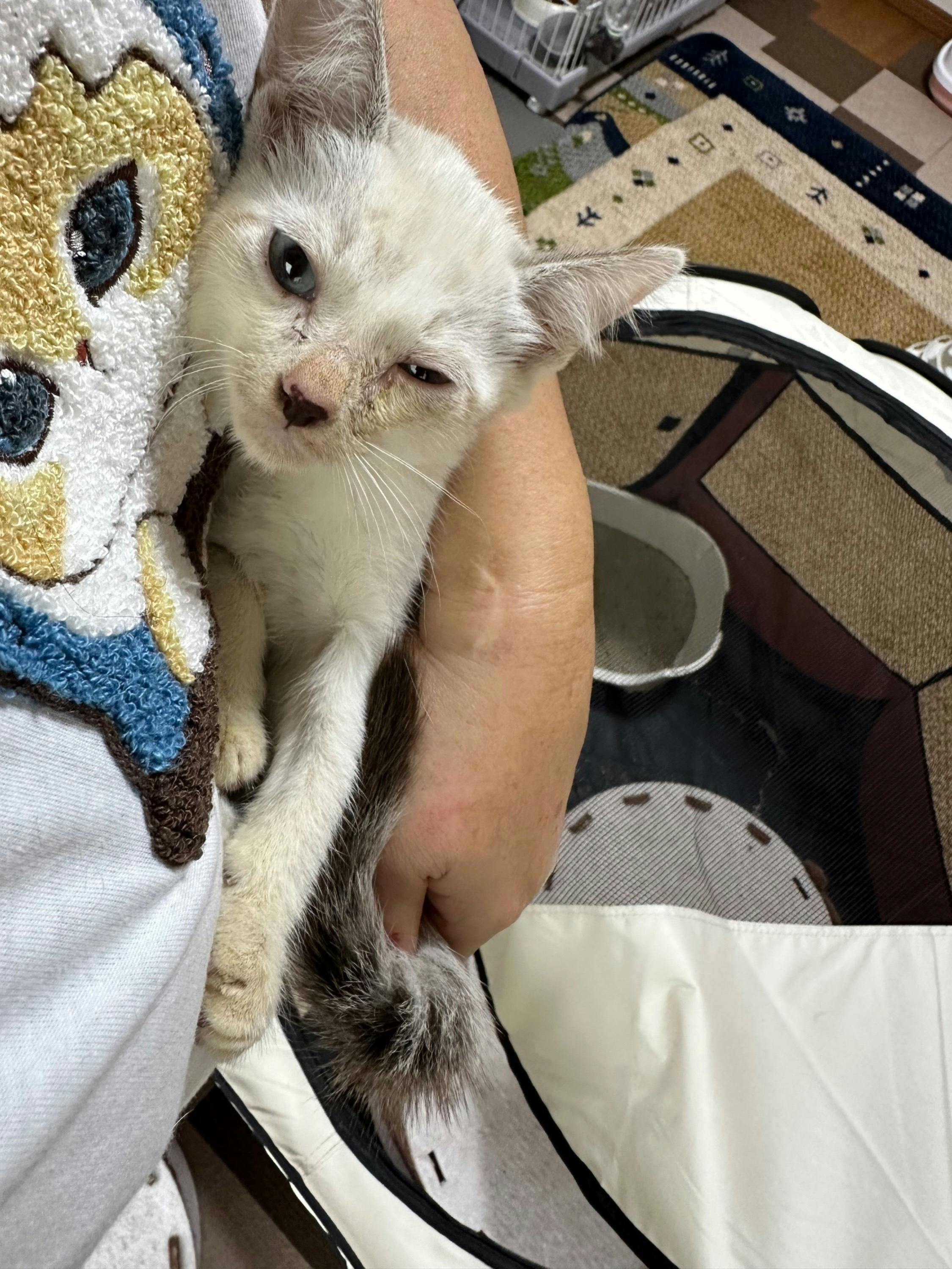 5番目のメイン画像