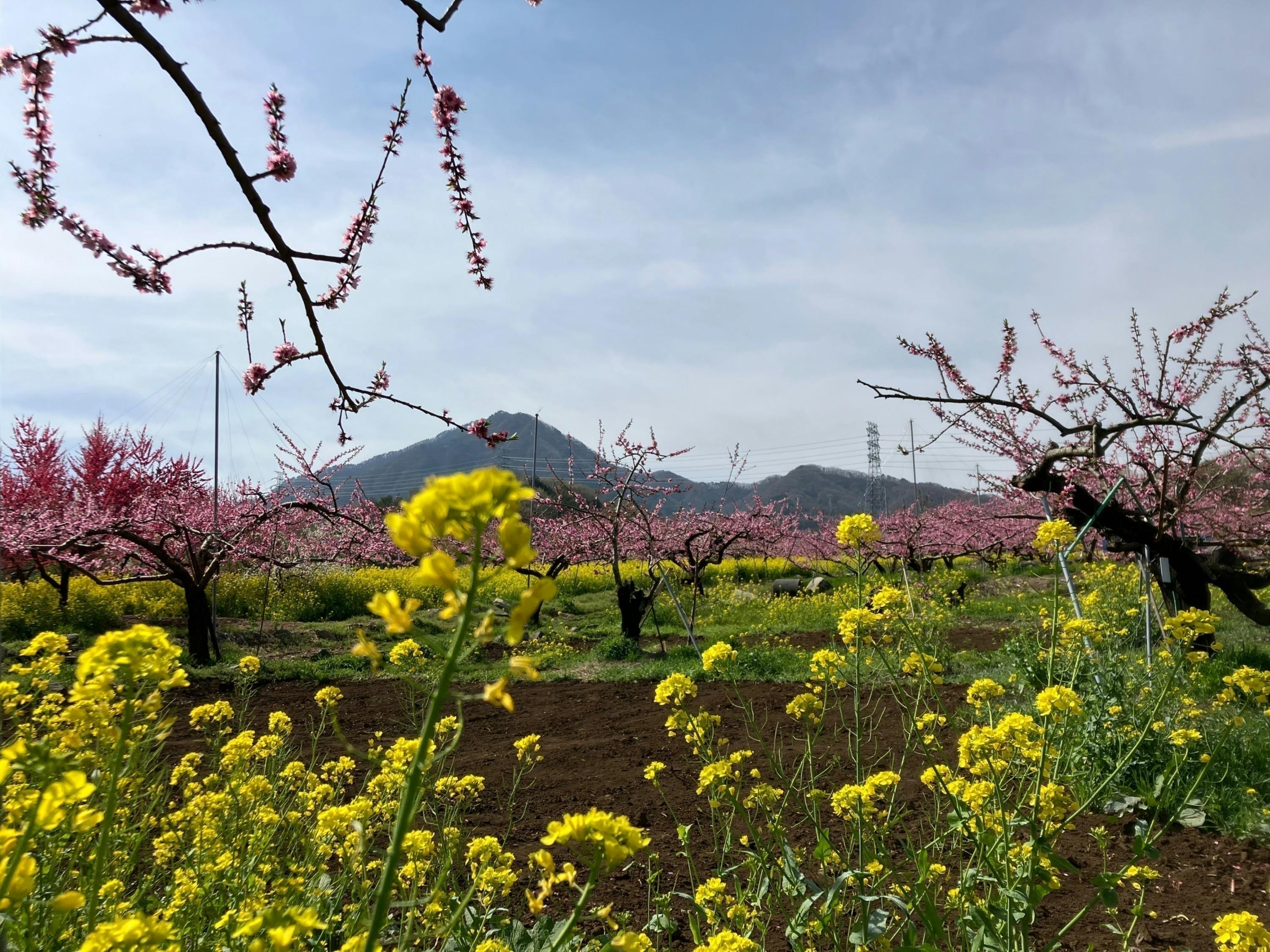4番目のメイン画像