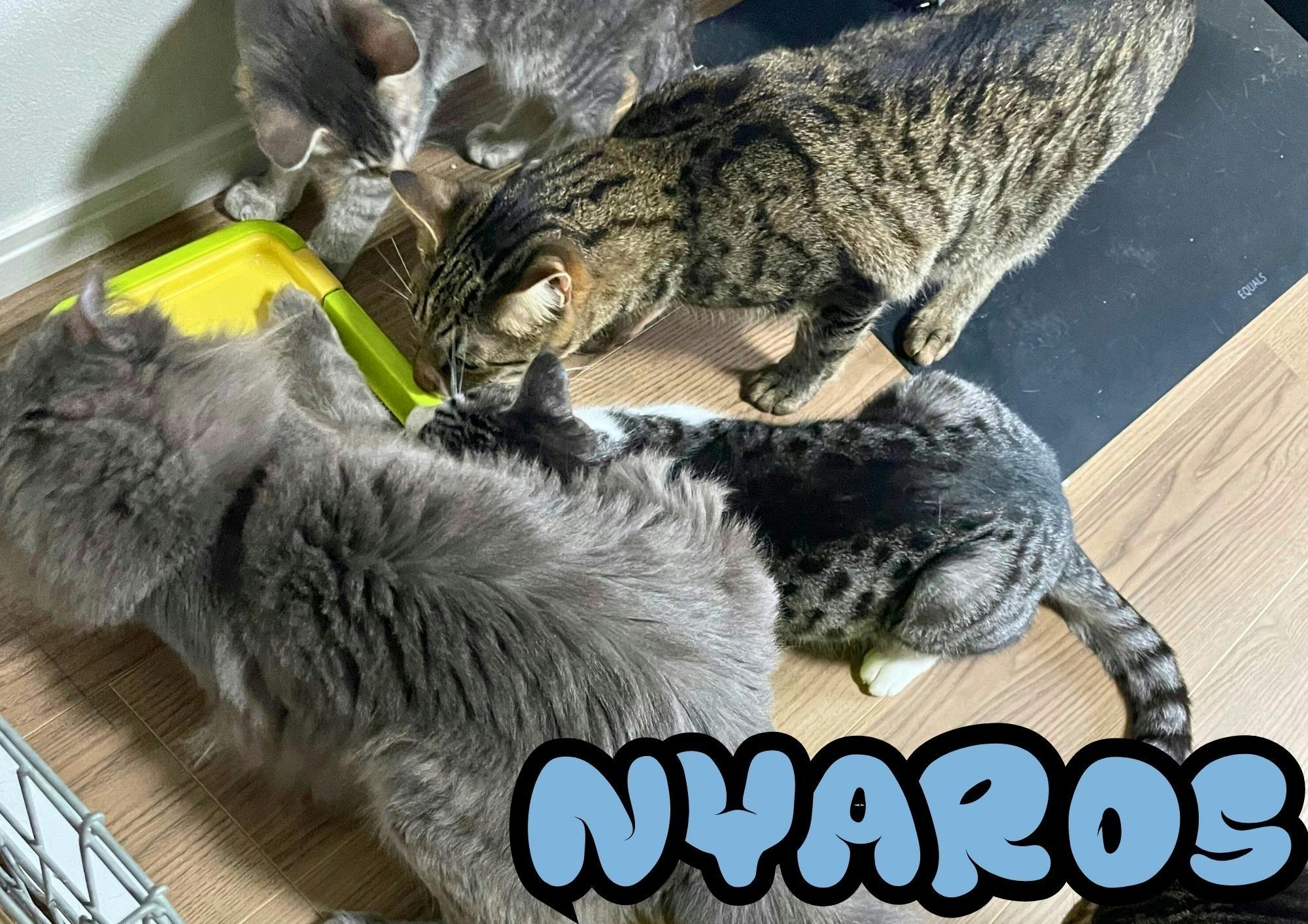 5番目のメイン画像