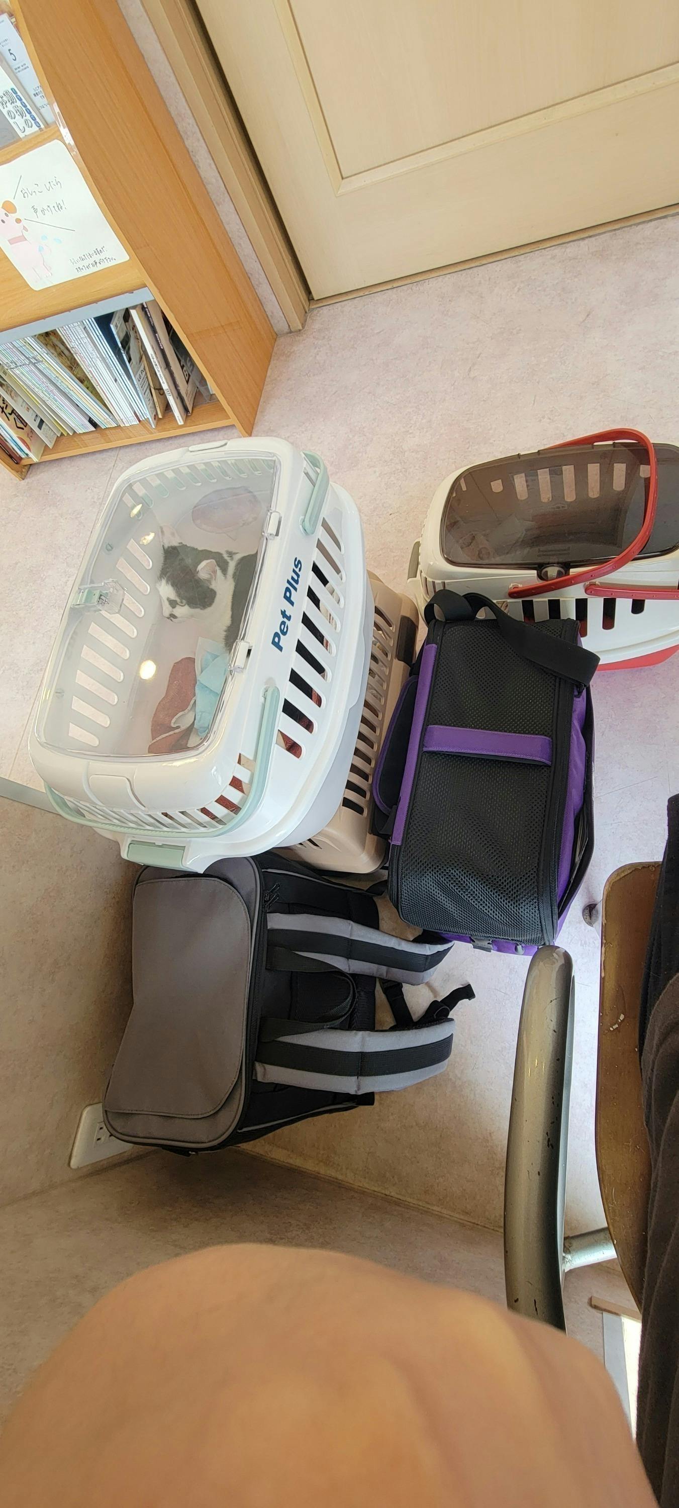 5番目のメイン画像