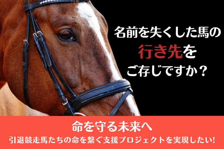 【引退競走馬】「LaLabase」が繋ぐ馬カフェと命の再生プロジェクト！#糸島