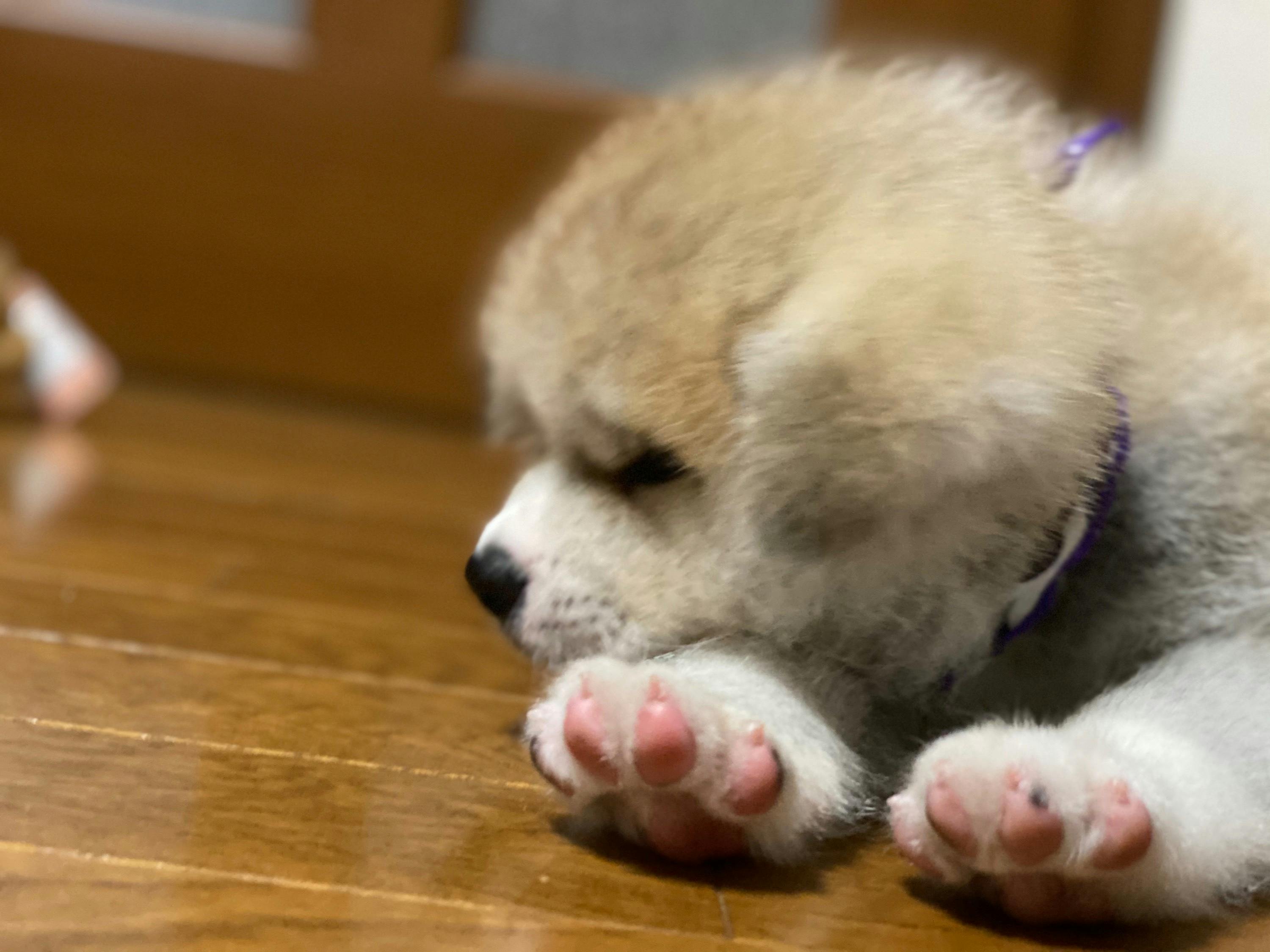 4番目のメイン画像