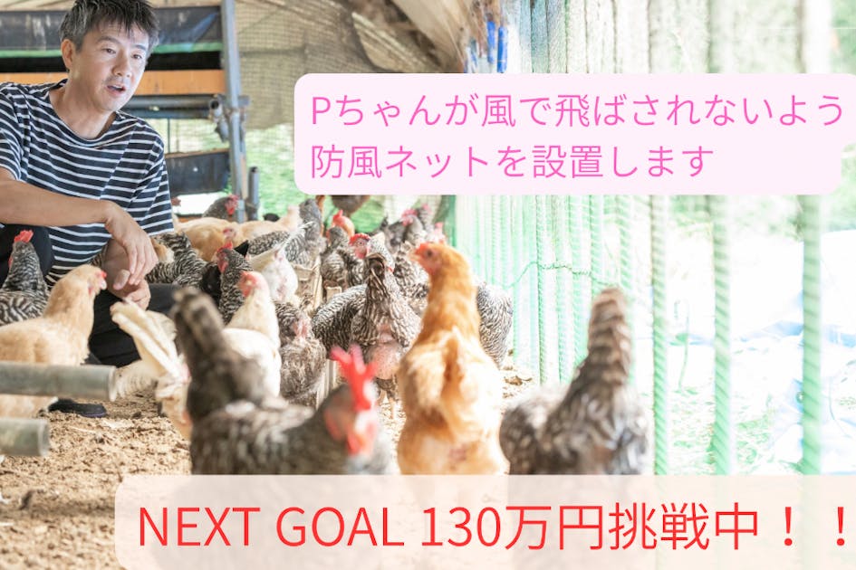 ついにピーちゃんお引越し - CAMPFIRE (キャンプファイヤー)