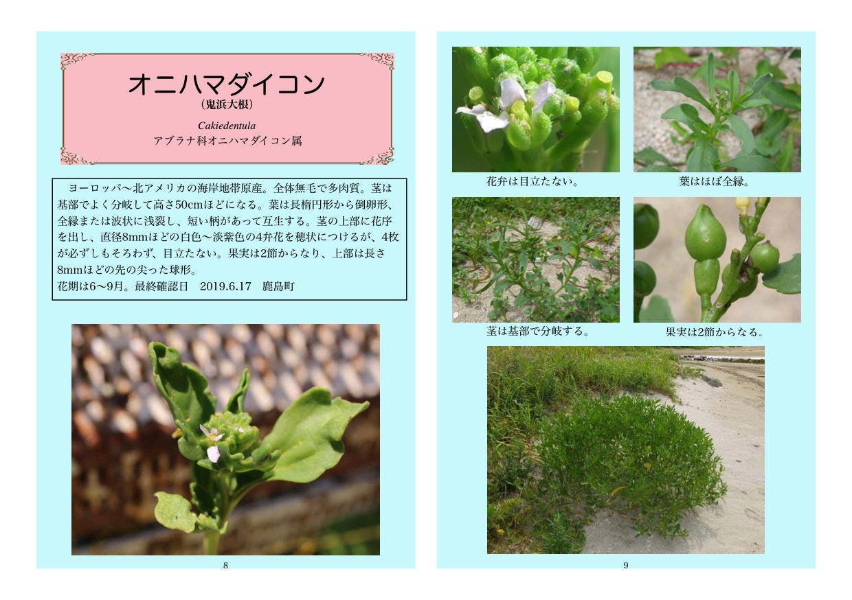 4番目のメイン画像