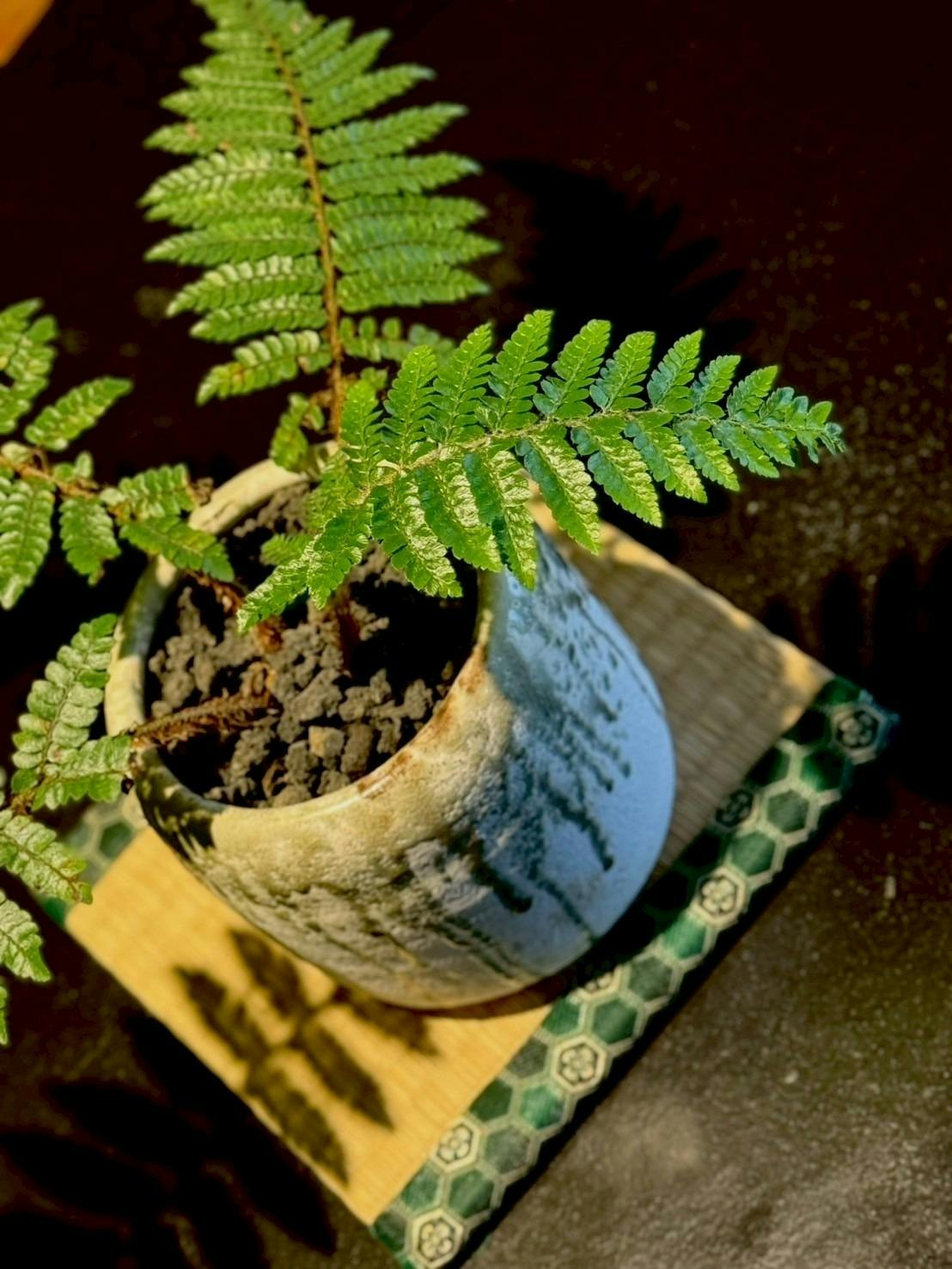 4番目のメイン画像