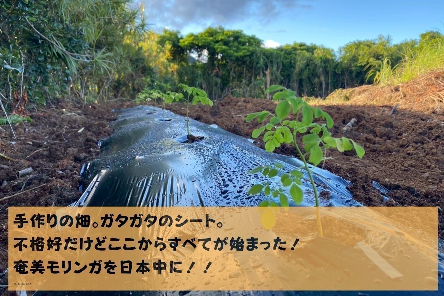 2番目のメイン画像