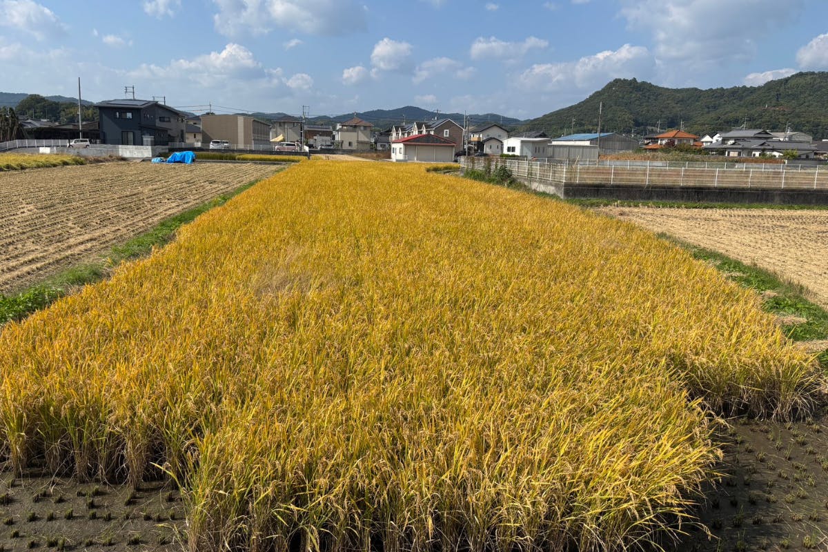 3番目のメイン画像