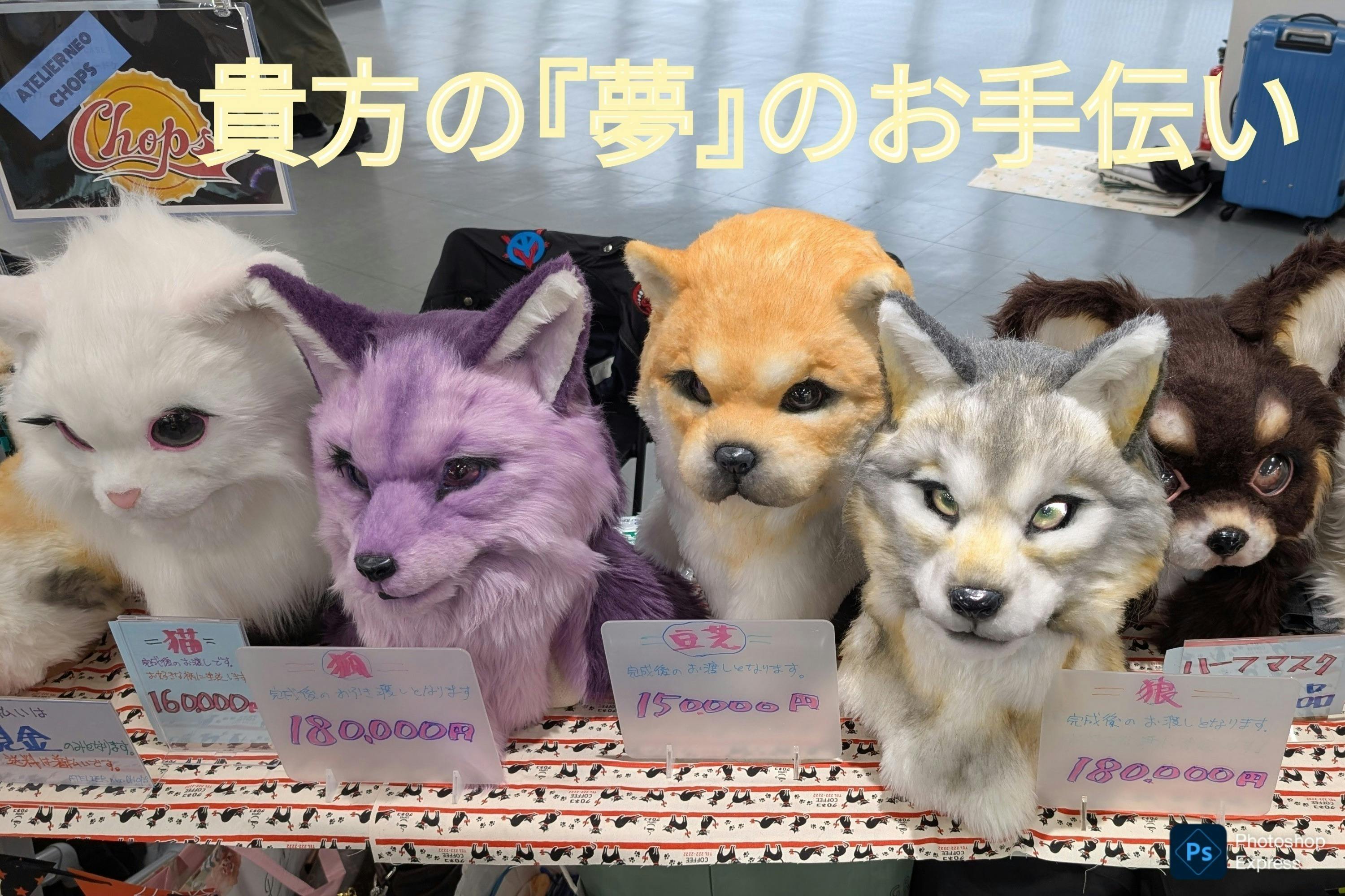 2番目のメイン画像