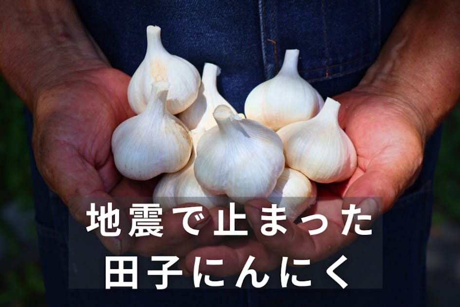 地震で止まった青森・田子町のにんにく農家支援 - CAMPFIRE (キャンプ