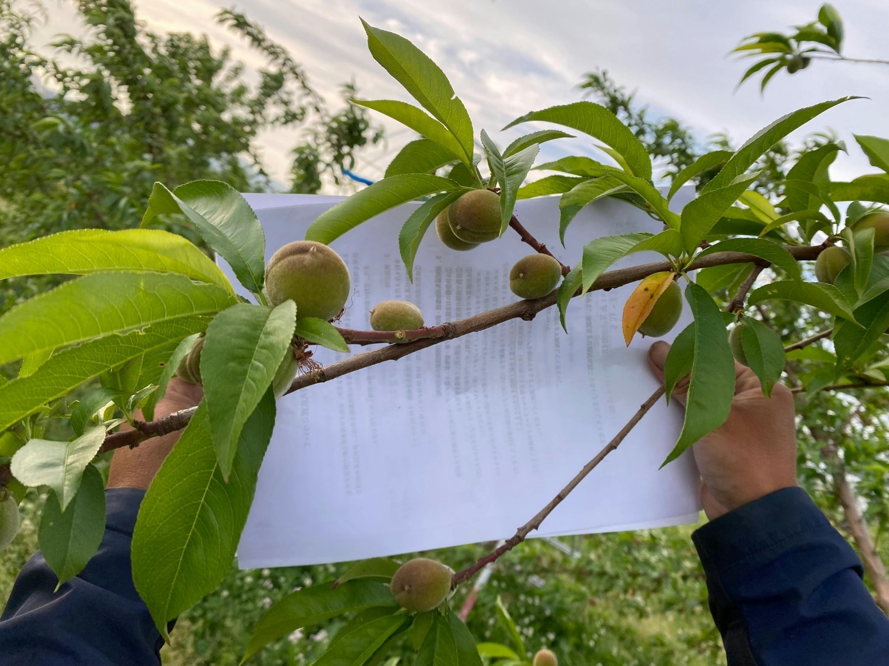 2番目のメイン画像